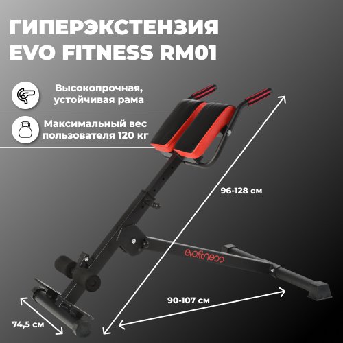 Купить Наклонная гиперэкстензия Evo Fitness RM01 черный
Гиперэкстензия EVO FITNESS RM01...