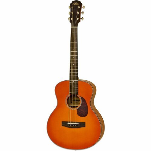 Купить Акустическая гитара ARIA 151 MTOS
Акустическая шестиструнная гитара ARIA-151 ста...