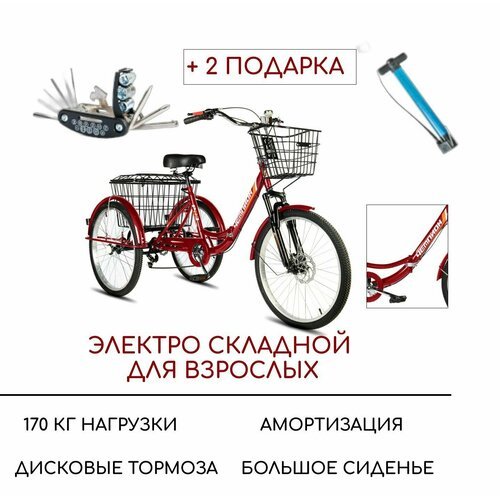 Купить Электровелосипед трехколесный для взрослых РВЗ "Чемпион" (складной), красный
Рам...