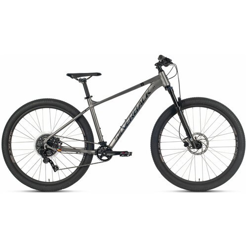 Купить Велосипед SILVERBACK STRIDE 29 COMP (2023) Satin Matt Metallic Grey-Matt Black D...