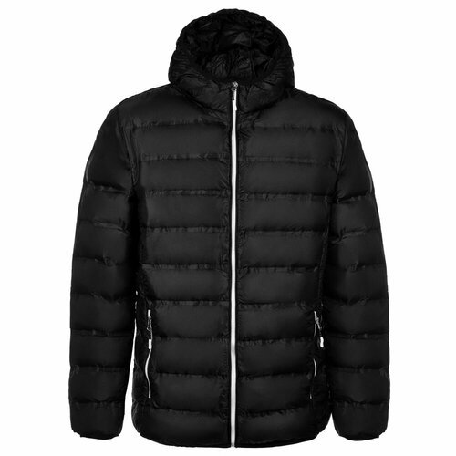 Купить Куртка STRIDE, размер S, черный
Куртка пуховая мужская Tarner Comfort черная, ра...