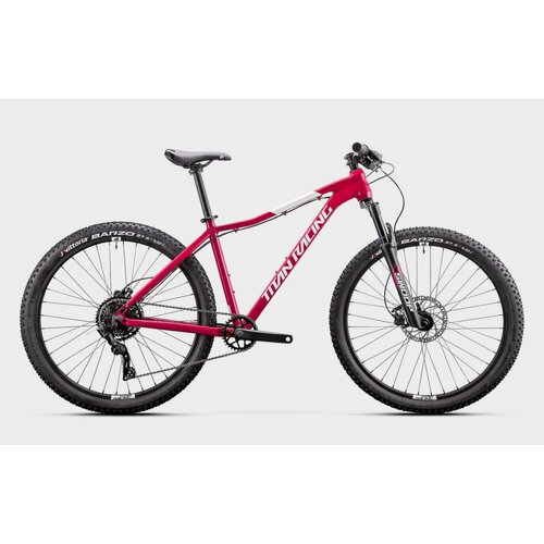 Купить Велосипед Titan Racing Rogue Calypso Cruz (2024) XS(15") Pink Rose
Titan Racing...