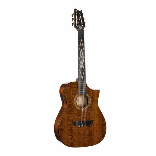 Купить Классическая гитара Cort LUXE-NYLON-BR Frank Gambale Luxe Series с чехлом (Класс...