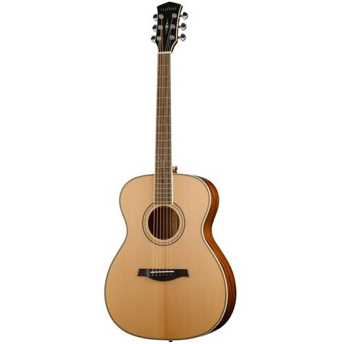 Купить Parkwood P620-WCASE-NAT с футляром акустическая гитара
P620-WCASE-NAT Акустическ...