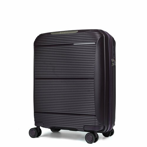Купить Чемодан FABRETTI EN1010-20-10, 55 л, размер S, фиолетовый
Компактный чемодан FAB...