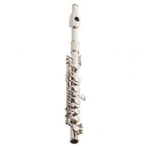 Купить BRAHNER PF-700S Флейта-пикколо С
Флейта-пикколо "С" студенческая модель, француз...