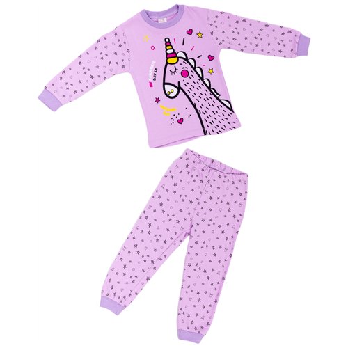Купить Пижама Miniland, размер 80, фиолетовый
Пижама маломерит на 1 размер. Учитывайте,...