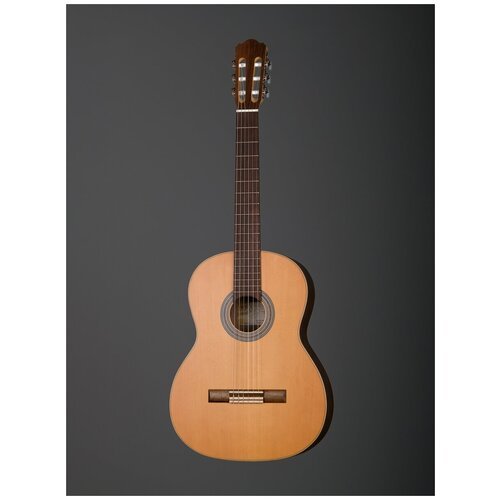 Купить SS300 Eco Walnut Классическая гитара Hora
SS300 Eco Walnut Классическая гитара....