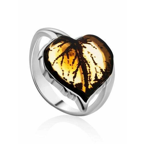 Купить Кольцо, янтарь, безразмерное, желтый, серебряный
кольцо «Липка» из и натуральног...