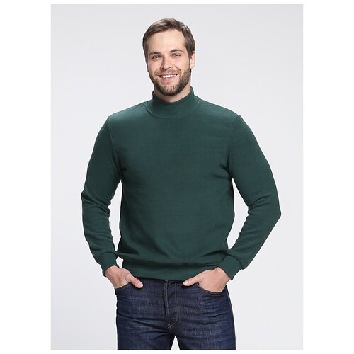 Купить Джемпер , размер XXL, зеленый
Стильный теплый мужской свитер для осени, весны и...