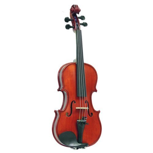 Купить Скрипка Gliga Gama P-V044-OB
 

Скидка 3%