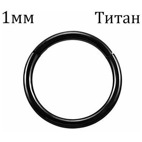 Купить Серьги одиночные , размер/диаметр 10 мм., черный
Украшение кольцо кликер из тита...