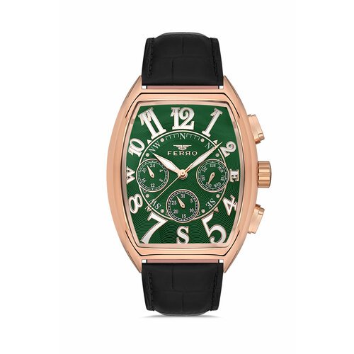 Купить Наручные часы Ferro FM11447BWT-R10, зеленый
Мультифункциональные мужские наручны...