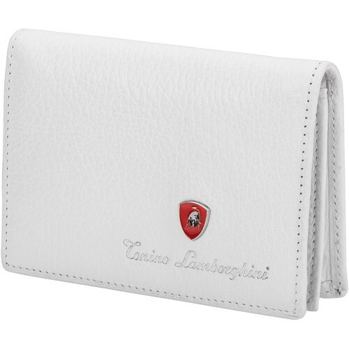 Купить Визитница Tonino Lamborghini, белый
Визитница TONINO LAMBORGHINI Sport Elegance...