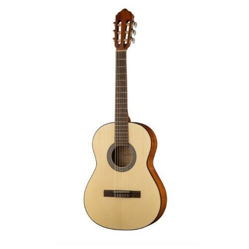 Купить Классическая гитара 3/4 с чехлом Parkwood PC75-WBAG-OP
PC75 Классическая гитара...