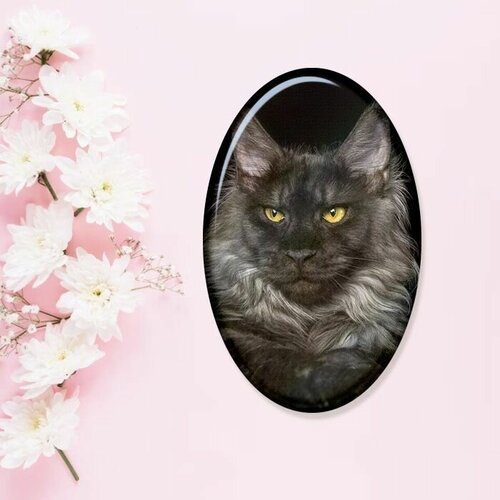 Купить Брошь, серый, черный
Эксклюзивная брошь с рисунком кота мейн-кун от бренда фарто...