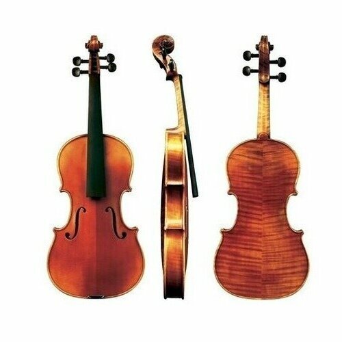 Купить Скрипка 1/4 Gewa Violin Maestro 6 Скрипка 1/4
Качественный студенческий инструме...