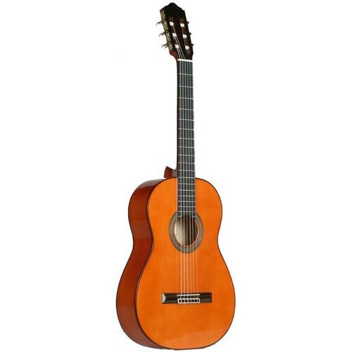 Купить Гитара фламенко Conde Hermanos EF5
<ul><li>Концертная гитара фламенко Blanca</li...