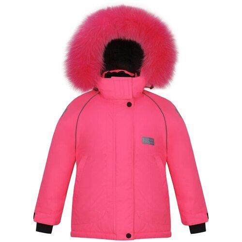 Купить Ветровка Stylish Amadeo, размер 122, розовый
Куртка из мембранной ткани с капюшо...