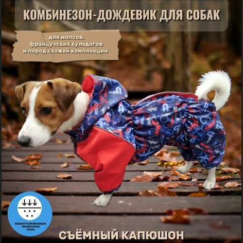 Купить Комбинезон-дождевик со съемным капюшоном для собак: французских бульдогов, мопсо...