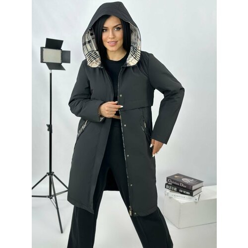 Купить Куртка Diffberd, размер 54, черный
Куртка женская весенняя, новая коллекция весн...