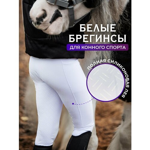 Купить Брюки ALIBI equestrian Брегинсы белые женские, размер XL, белый
Брюки для конног...