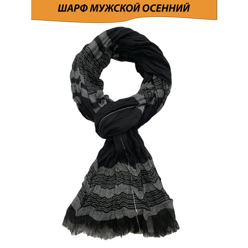 Купить Шарф , 180, серый, черный
Мужской легкий шарф жатка согреет Вас промозглой осень...