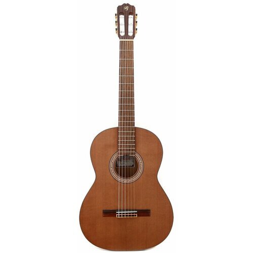Купить Гитара классическая Prudencio Saez 2-S (160)
 

Скидка 30%