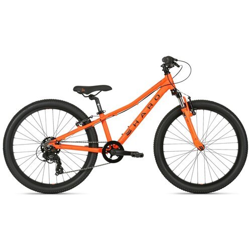 Купить Велосипед HARO Flightline 24 (2021) one size оранжевый/черный
Велосипед детский...