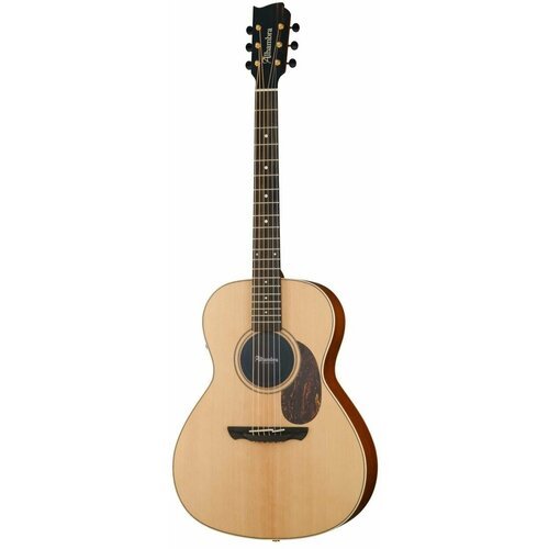 Купить 1.200 A00-SkSp E9 Электро-акустическая гитара, с ремнем и чехлом, Alhambra
1.200...