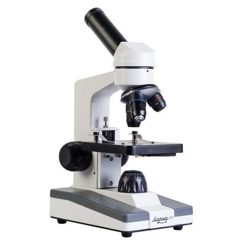 Купить Школьный учебный биологический микроскоп монокуляр С-11
Купить микроскоп биологи...