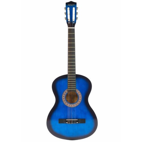 Купить Классическая гитара Belucci BC3825 BLS
Классическая гитара Belucci BC3825 BLS: п...