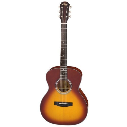 Купить Акустическая гитара ARIA-201 TS
Компания ARIA – производитель качественных инстр...