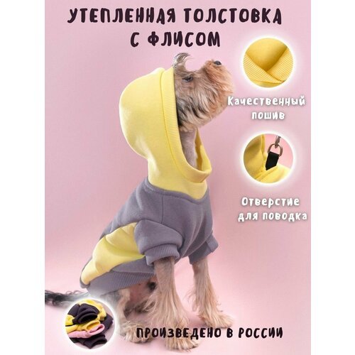 Купить Толстовка для животных, S
Толстовка/худи/кофта/свитер для животных, собак мелких...