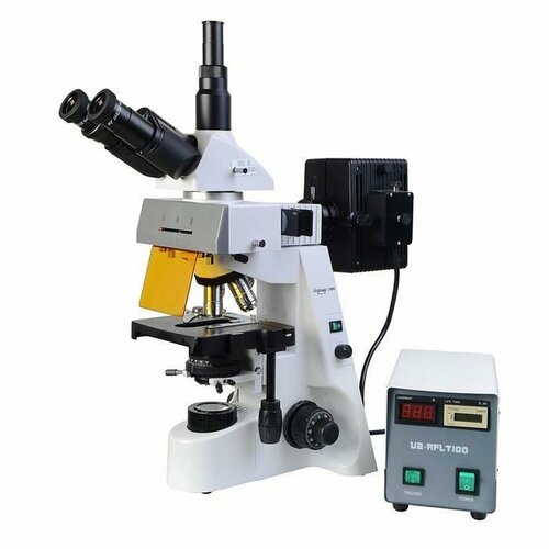 Купить Микроскоп Микромед 3 ЛЮМ
<p>Микроскоп тринокулярный люминесцентный микромед 3 ЛЮ...