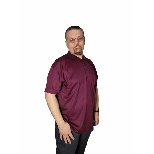 Купить Поло POLO PEPE, размер 5XL, бордовый
Классическая однотонная футболка-поло с вор...