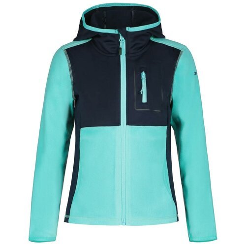 Купить Куртка ICEPEAK, размер 116, голубой
Детский горнолыжный джемпер Icepeak Lavon Jr...