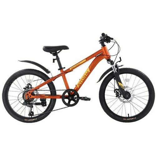 Купить Велосипед горный детский TECH TEAM 20" STORM 11", 7 скоростей
<ul><li>Рама: стал...