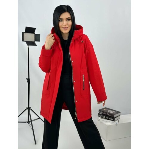 Купить Куртка Diffberd, размер 54, красный
Куртка женская весенняя, новая коллекция вес...
