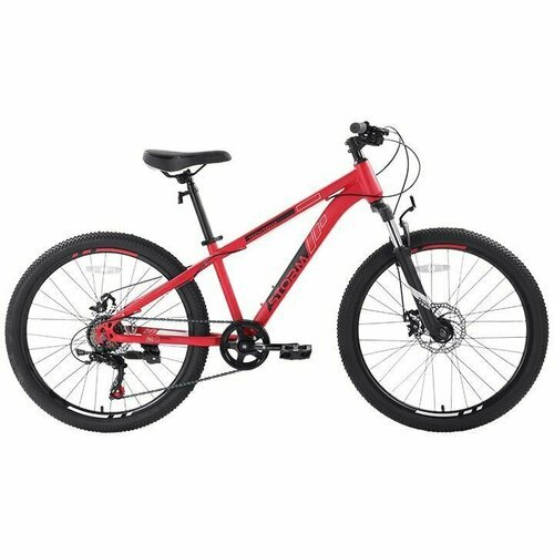 Купить Велосипед горный подростковый TECH TEAM 24" STORM 13" Красный
<ul><li>Рама: стал...