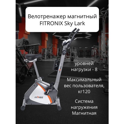Купить Велотренажёр FITRONIX "Sky Lark"
Велотренажер FITRONIX "Sky Lark" - это надежный...