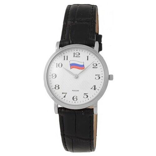 Купить Наручные часы Слава Премьер, серебряный
Часы наручные "Слава" кварцевые 1121269/...