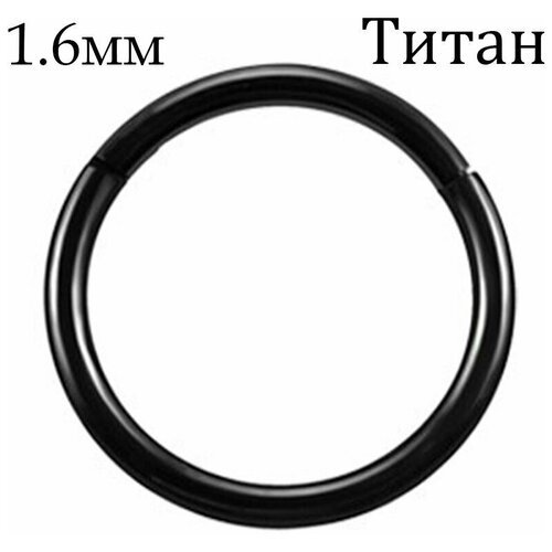 Купить Серьги одиночные , размер/диаметр 8 мм., черный
Украшение кольцо кликер из титан...