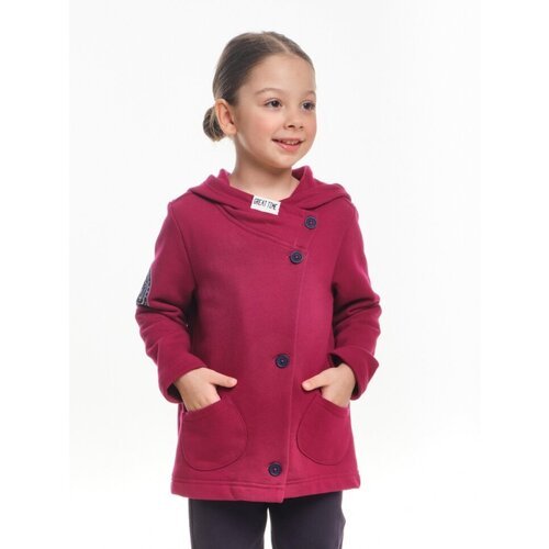 Купить Олимпийка Mini Maxi, размер 104, фиолетовый
Куртка для девочек Mini Maxi, модель...