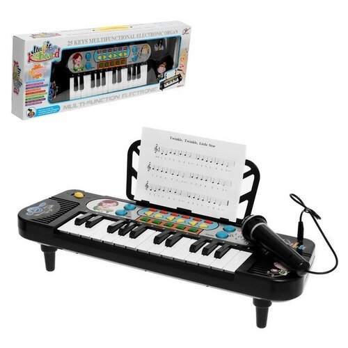 Купить Синтезатор «Играй и пой», 25 клавиш, микрофон, работает от батареек
Синтезатор «...