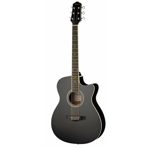 Купить Акустическая гитара с вырезом Naranda TG120CBK
<p>Близок дух свободы, шумные пос...