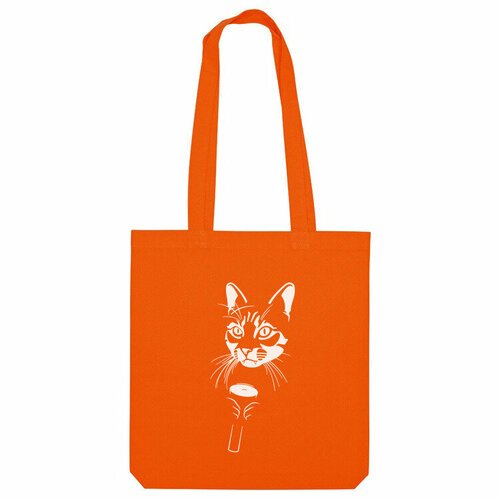 Купить Сумка Us Basic, оранжевый
Название принта: Кот с фонариком, Horror cat. Автор пр...