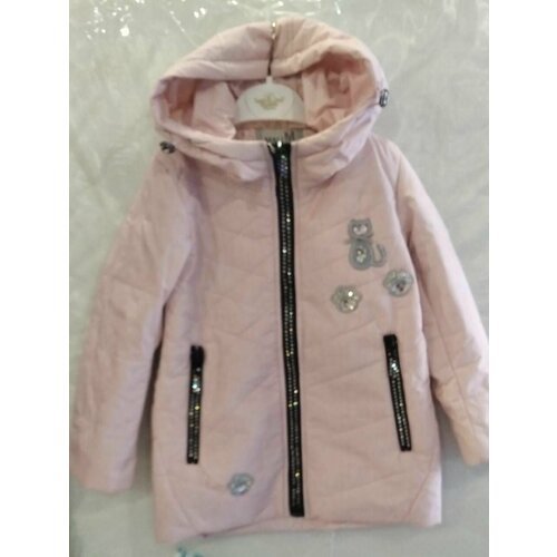 Купить Куртка, размер 98, розовый
Характеристики:<br><br>Вид: Куртка для девочки на мол...