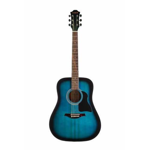 Купить Акустическая гитара Fabio FW220 BLS (41"дюйм)/синяя
Акустическая гитара Jordani...