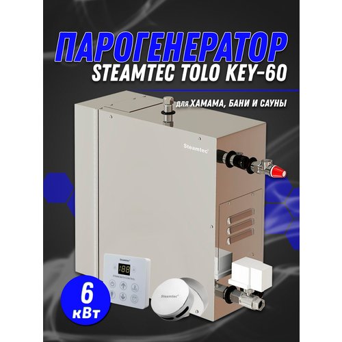 Купить Парогенератор для хамама Steamtec TOLO-60-KEY (6 Квт), 220В (объем парной 5-7 м3...